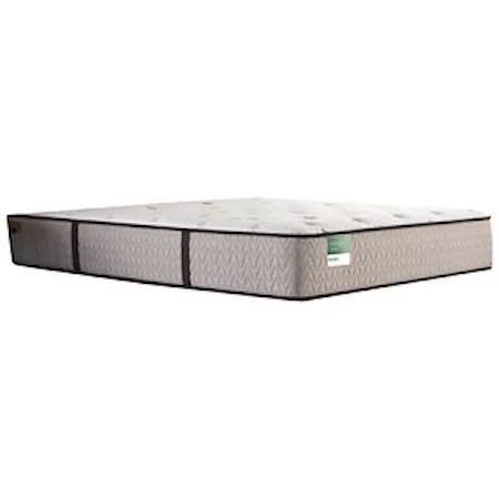 Queen 12 1/2" Plush Mattress